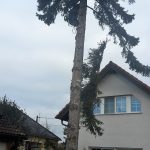 foto-4