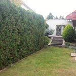 garten-7